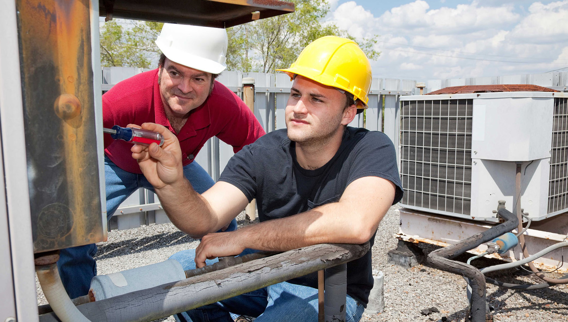 Trades & Services