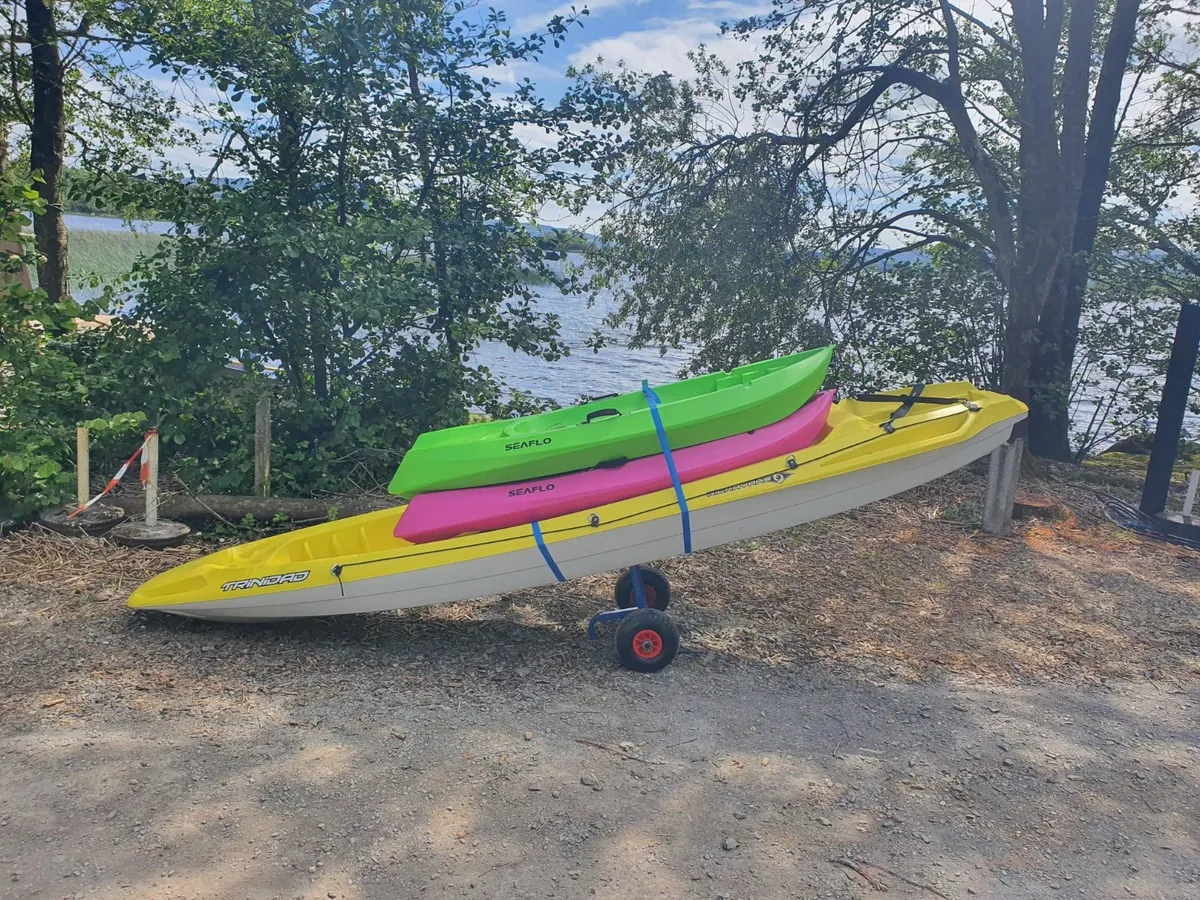 Canoe & Paddle Set — Shannon River Ready, Used Twice
